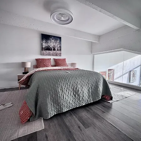 Céphas Appartement Roubaix